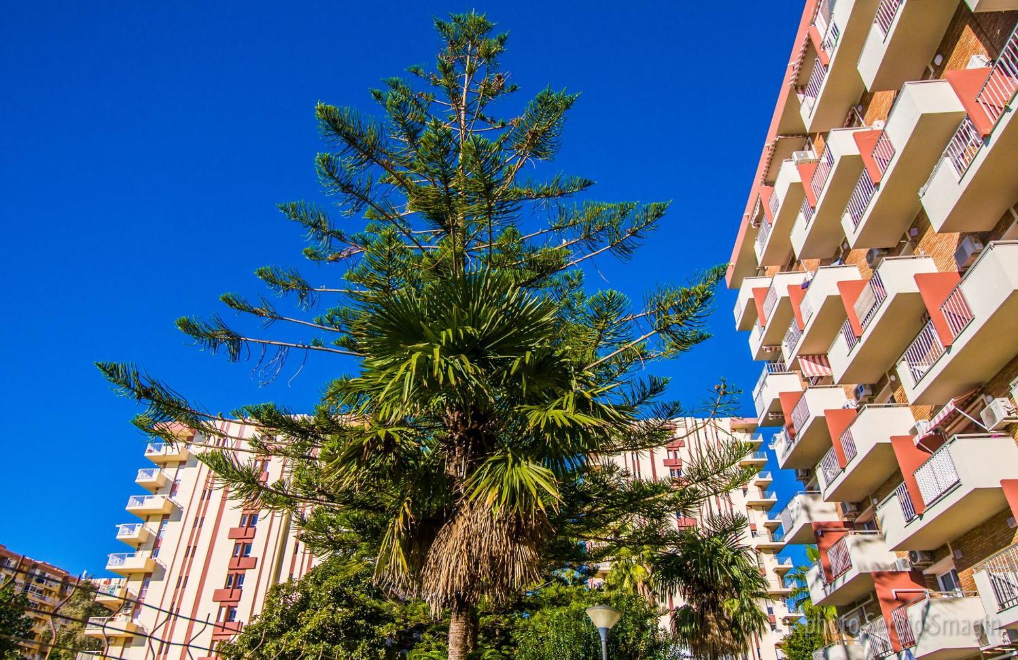 4 Jupiter Estudio- Vista A La Piscina - Playa A 700 Metros Lejlighed Benalmádena